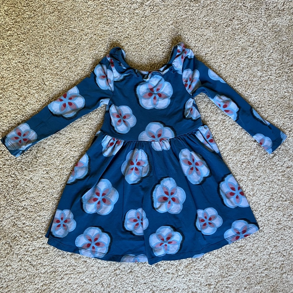 Tea Collection Ruffle Collar Ballet Dress Girls size 4